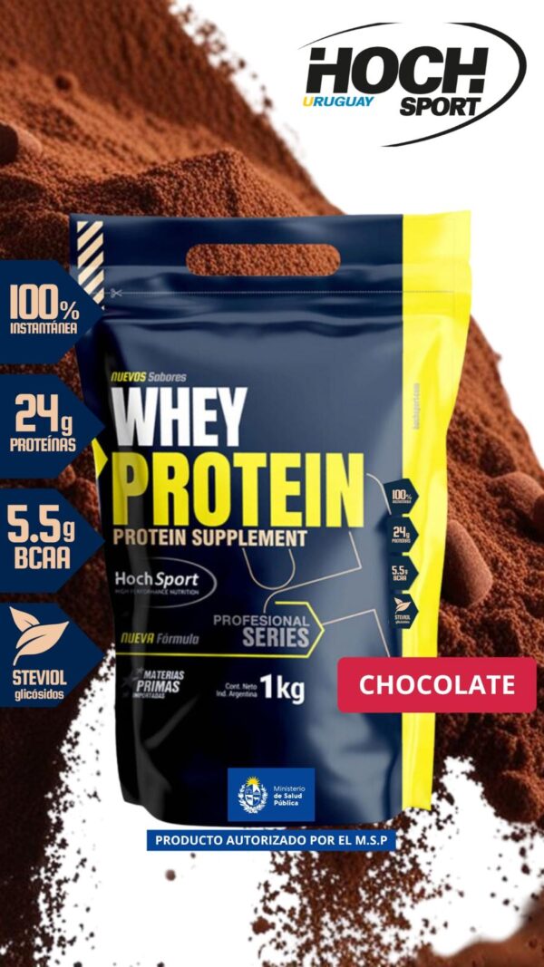 WHEY PROTEIN SABOR CHOCOLATE