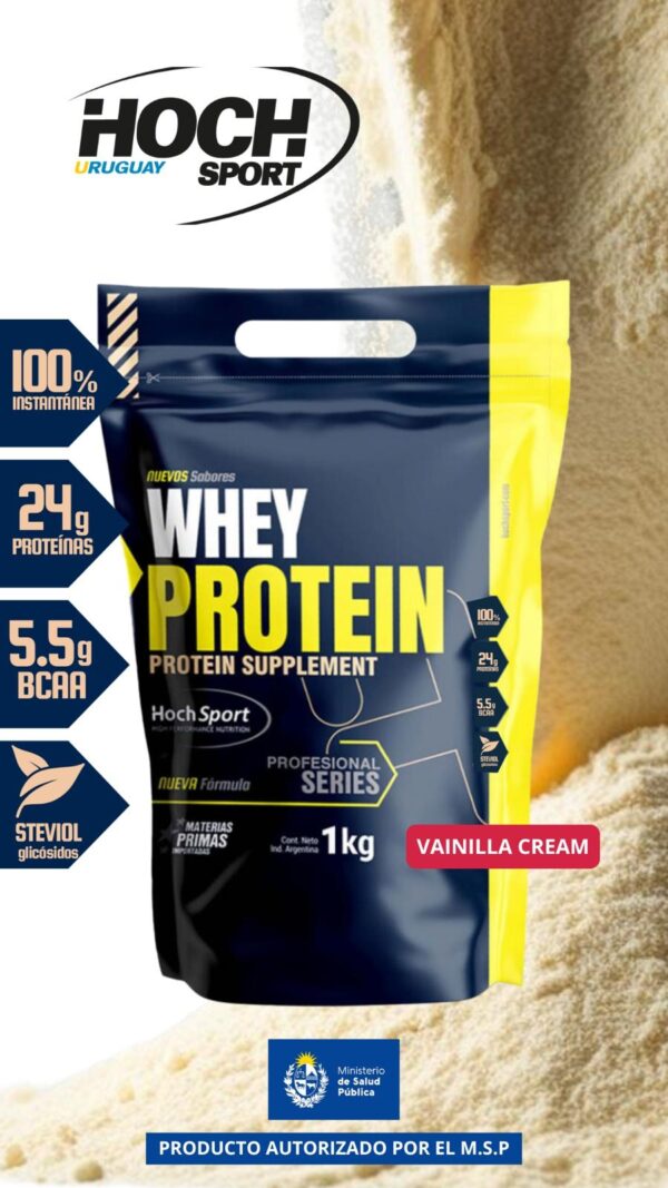 WHEY PROTEIN SABOR VAINILLA