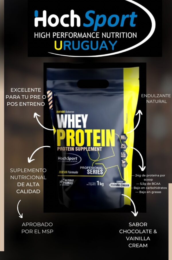 WHEY PROTEIN SABOR VAINILLA